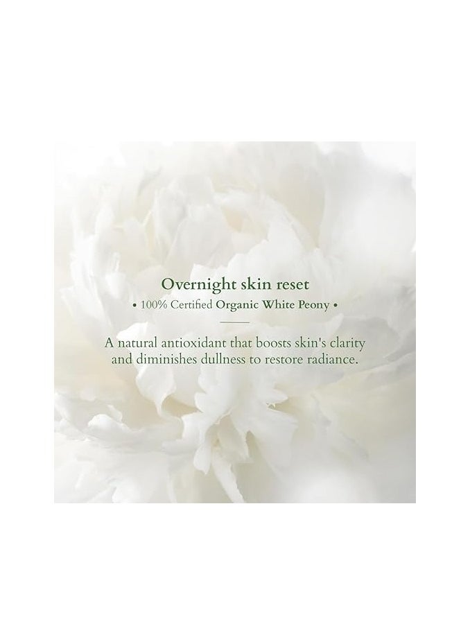Lotus Lotus Organics+ Precious Brightening Night Creme, White  - Image 4