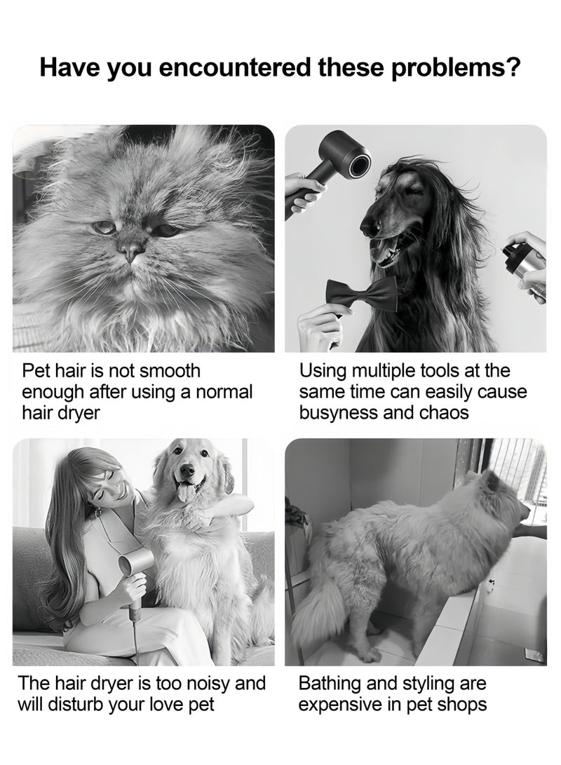 300W pet quick-drying hair dryer with replaceable spray hair comb and two air outlets, can massage and style your pet, Blue - Image 2