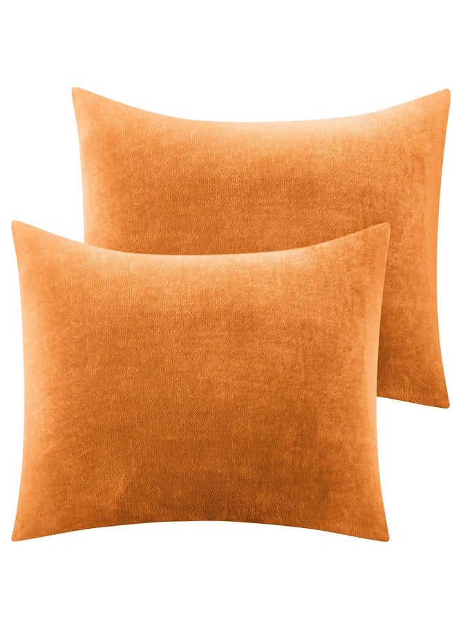 بيديليت أغطية وسائد من الفلانيل من بيدلايت (20 × 26 بوصة، برتقالي محروق) - Image 1