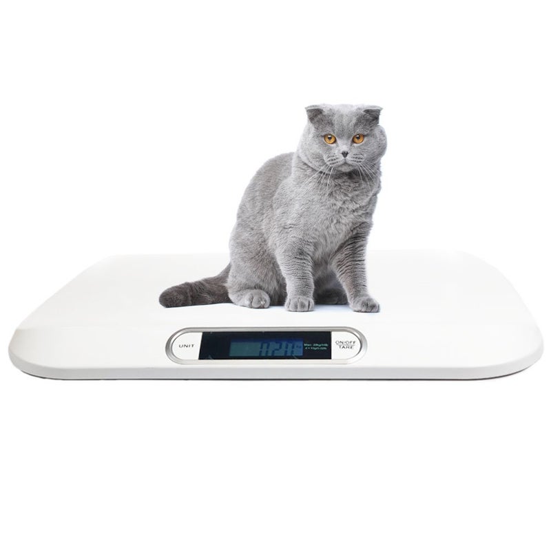 Angel Digital Electronic Display Portable Dog Cat Scale, Weighs Pet Food, Up to 44 Pounds Capacity for Puppy, Small Animal, Kitten, Rabbit, Tortoise - Image 1
