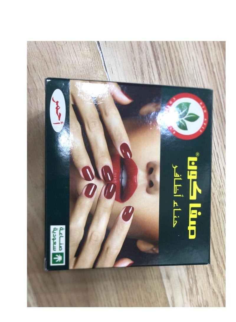 راني 2 قطعة من معجون الحناء لنقش وتزيين الجسم و لنقش وتزيين الاظافر 24 قطعة - Image 2