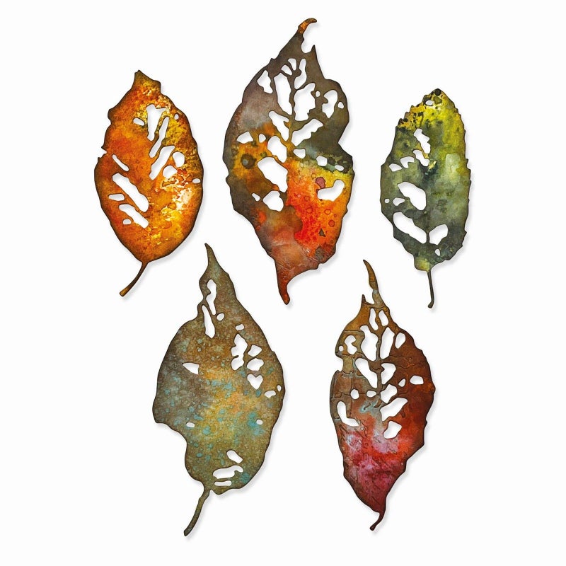 Sizzix Thinlits Die Set 5PK Leaf Fragments by Tim Holtz 665559