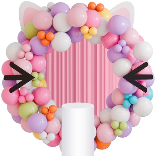 Hungdao 227 Pcs Girls House Balloon Party Supplies Girls Theme Balloon Garland Arch Decoration Large Ear Beard Decoration for Cat Theme Birthday Party Supplies - Image 1