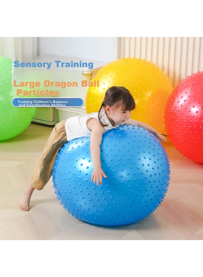 Tatanice Early Education Big Dragon Ball Children'S Indoor Sensory Vestibular Training Equipment Kindergarten Outdoor Toys Birthday Gift - Image 1