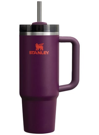 Stanley Quencher H2.0 Tumbler with Handle & Straw 30 oz | Twist On 3-Way Lid | Cupholder Compatible for Travel | Insulated Stainless Steel Cup | BPA-Free | Plum - pzsku/ZF051B8E63172376CFCCEZ/45/_/1736571200/b0bb64d0-803e-489b-9ead-c82dcb65c73b