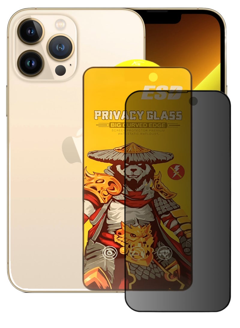 ESD Tempered Dustproof Privacy Glass Screen Protector Compatible For iPhone 13 Pro - Image 1