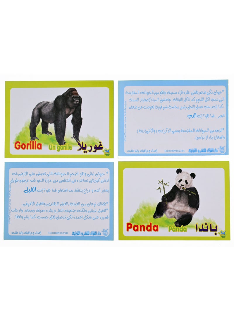 Jungle Animals  - Image 3