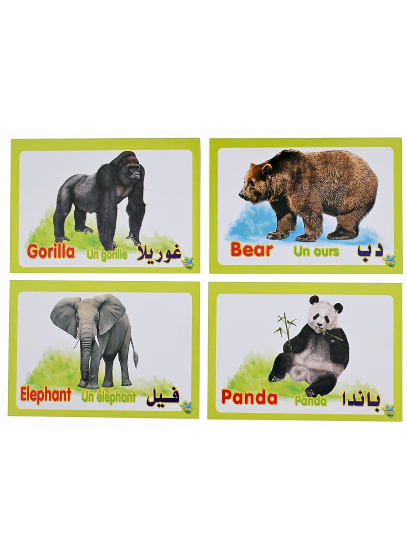Jungle Animals  - Image 2