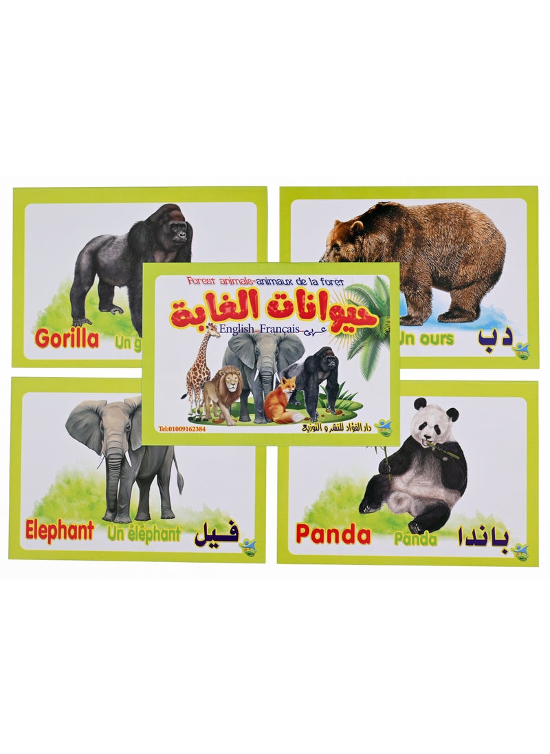 Jungle Animals  - Image 1