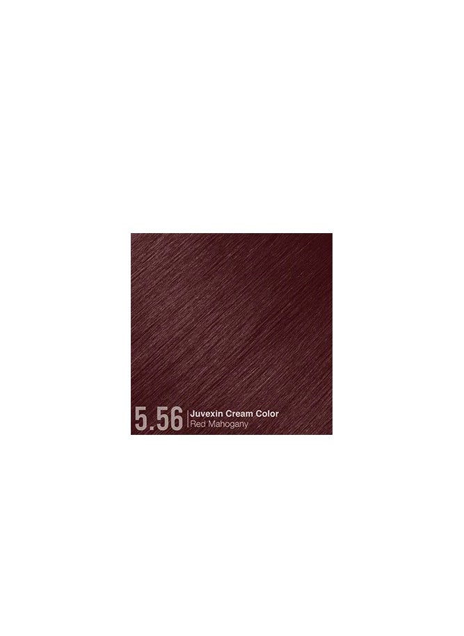 GK Hair GK Hair Dye - Mahogany Red 5.56  - Image 3