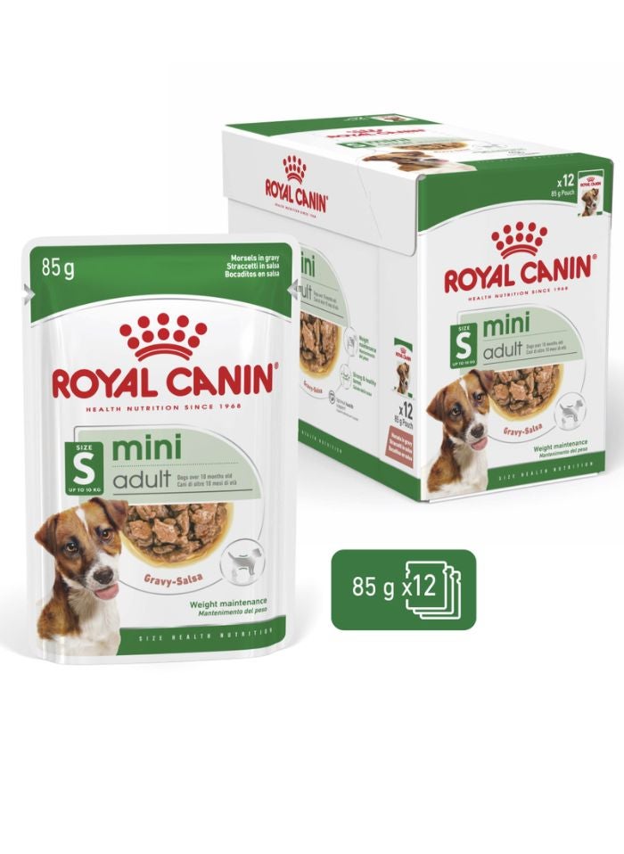 ROYAL CANIN حجم صحة التغذية للبالغين الصغار (طعام رطب - أكياس) 12 × 85 جرام - Image 5