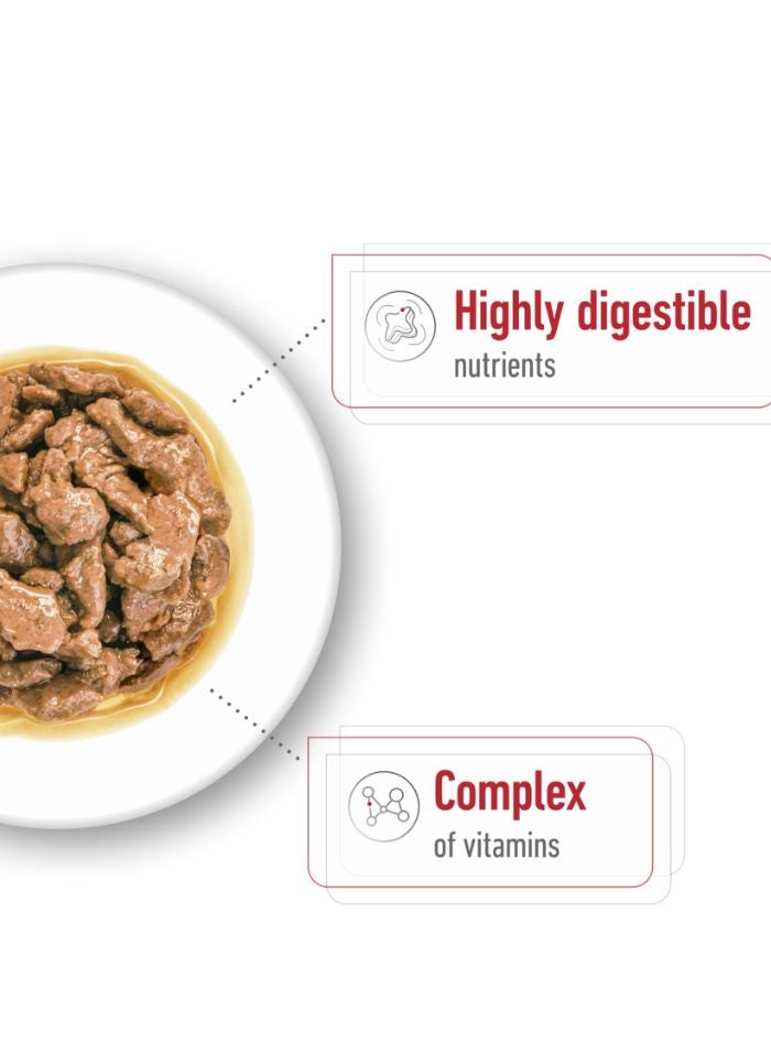 ROYAL CANIN حجم صحة التغذية للبالغين الصغار (طعام رطب - أكياس) 12 × 85 جرام - Image 2