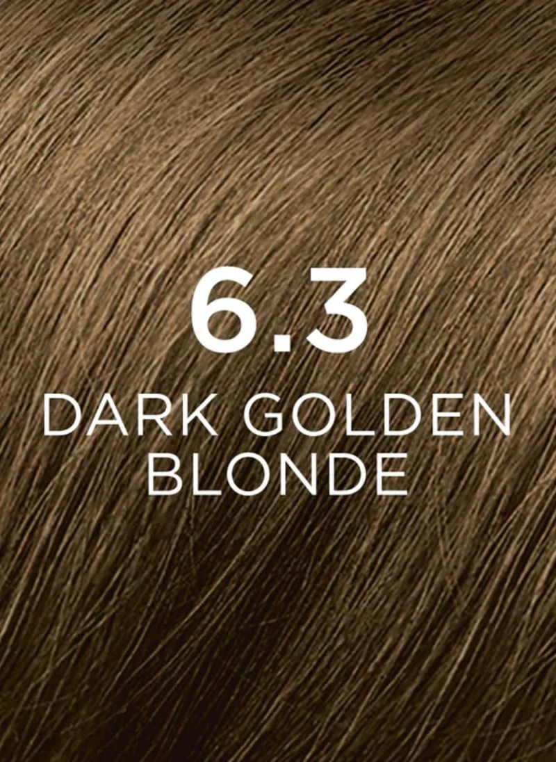 Phyto Phytocolor 6.3 dark golden blonde