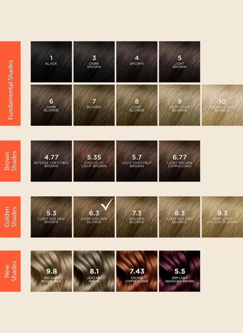 Phyto Phytocolor 6.3 dark golden blonde