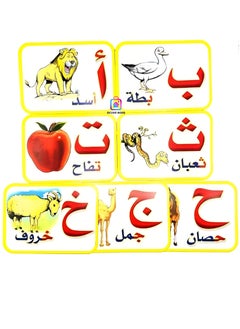 DECOR SOUQ Arabic Alphabet Flashcards – 28 Double-Sided Cards with Animal, Fruit & Object Illustrations – Learn Letter Placement in Beginning, Middle & End of Words – Educational Tool for Kids – Vibrant & Engaging Design – Perfect for Early Language Development – Durable & Child-Friendly Materials – Ideal for Home, Classrooms or Travel – Boost Arabic Vocabulary & Reading Skills – Fun & Interactive Learning Resource for Preschoolers & Young Learners  - Image 2