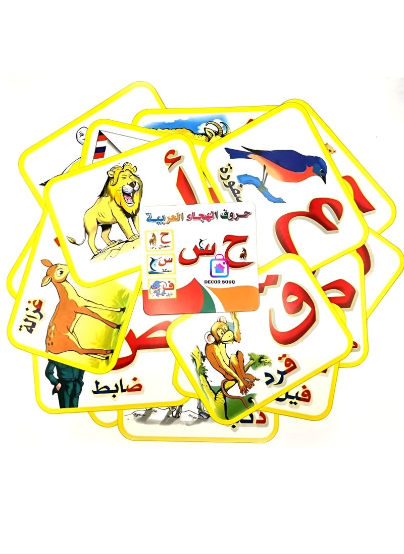 سوق الديكور بطاقات تعليمية لأحرف الأبجدية العربية - 28 بطاقة مزدوجة الجوانب مع رسوم توضيحية للحيوانات والفواكه والأشياء - تعلم وضع الحروف في بداية ووسط ونهاية الكلمات - أداة تعليمية للأطفال - تصميم نابض بالحياة وجذاب - مثالية لتنمية اللغة المبكرة - مواد متينة وصديقة للأطفال - مثالية للمنزل أو الفصول الدراسية أو السفر - تعزيز مفردات اللغة العربية ومهارات القراءة - مورد تعليمي ممتع وتفاعلي لمرحلة ما قبل المدرسة والمتعلمين الصغار  - Image 1