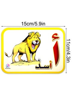 DECOR SOUQ Arabic Alphabet Flashcards – 28 Double-Sided Cards with Animal, Fruit & Object Illustrations – Learn Letter Placement in Beginning, Middle & End of Words – Educational Tool for Kids – Vibrant & Engaging Design – Perfect for Early Language Development – Durable & Child-Friendly Materials – Ideal for Home, Classrooms or Travel – Boost Arabic Vocabulary & Reading Skills – Fun & Interactive Learning Resource for Preschoolers & Young Learners  - Image 5