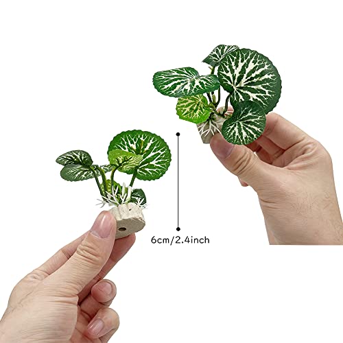 Smoothedo-Pets Betta Fish Tank Cave Decorations Aquarium Decoration Ornaments Accessories Betta Leaf pad Hammock (Fish Cave Toy-A) - Image 3