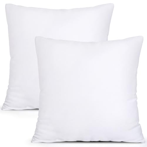 MIULEE MIULEE Set of 2 Throw Pillow Inserts Premium Pillow Stuffer Square Form for Decorative Cushion Bed Couch Sofa 18x18 Inch 