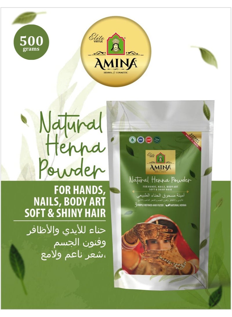 Amina Henna Herbal Mehndi Natural Henna Powder For Skin, Hand, Feet and Hair, Green (500 g) - Image 1