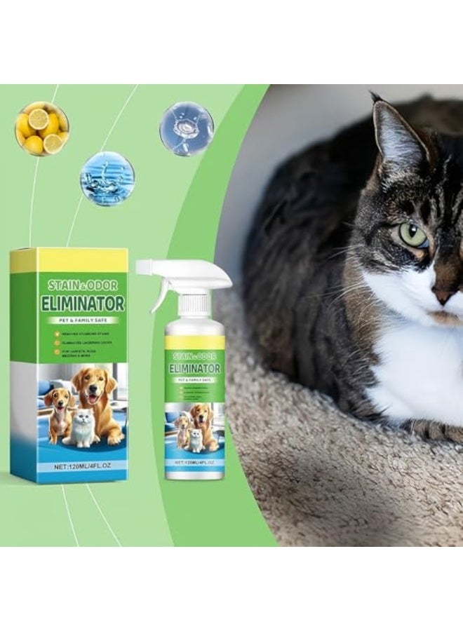 YEGBONG Stain & Odor Eliminator, 120ml Pet Odor Eliminator Spray - Premium Enzyme Formula for Removing Dog & Cat Urine Permanent Stains and Smells from Carpets, Furniture & Floors, Gentle and Safe for Pets - Image 4