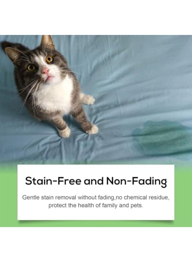 YEGBONG Stain & Odor Eliminator, 120ml Pet Odor Eliminator Spray - Premium Enzyme Formula for Removing Dog & Cat Urine Permanent Stains and Smells from Carpets, Furniture & Floors, Gentle and Safe for Pets - Image 5