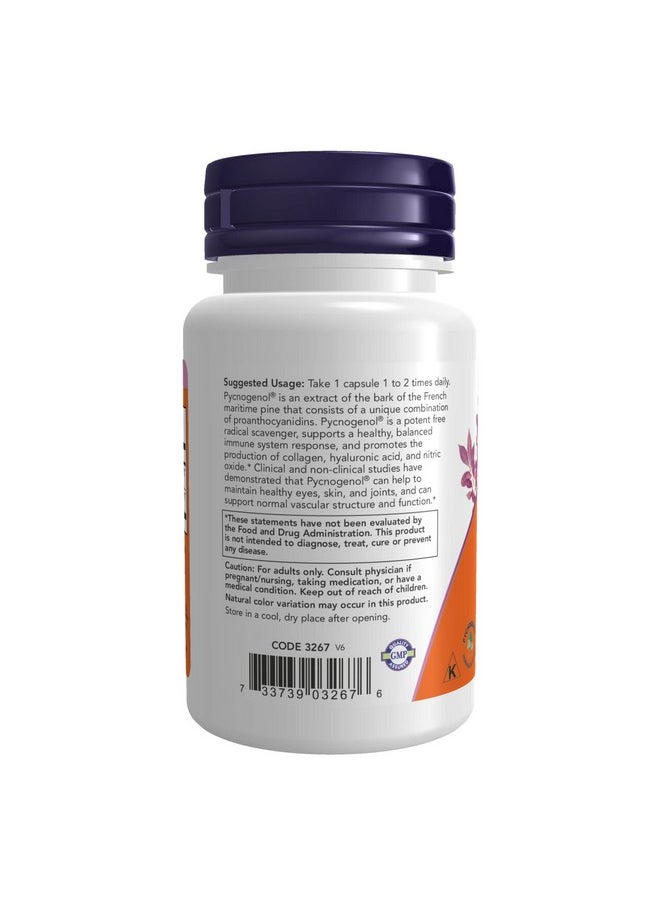 now - Supplements Pycnogenol 100 Mg (A Unique Combination Of Proanthocyanidins From French Maritime Pine) With Amla 60 Veg Capsules - Image 1