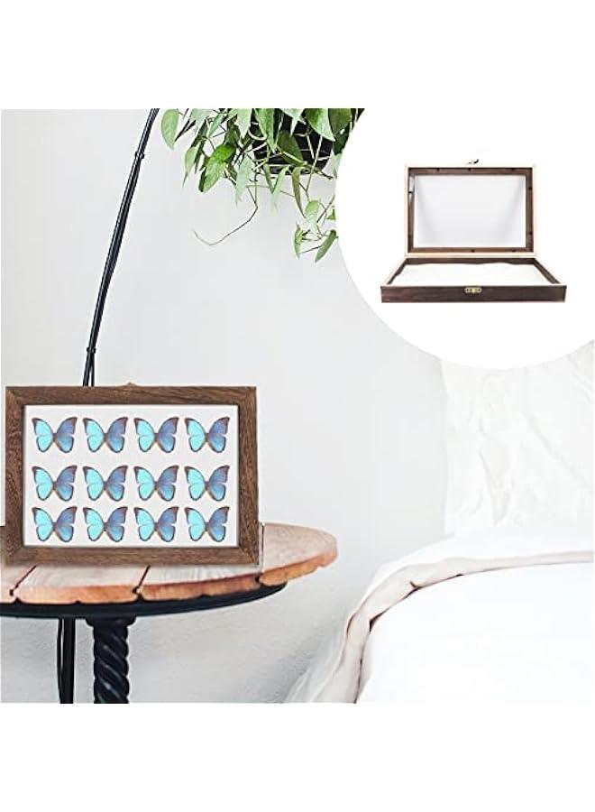 Generic 1 Set Box Insect Specimen Box Exhibit Garden Insect Netting Display Cases Models Shadowbox Picture Frame Insect Holder Stand Arrowhead Display Case Shadow Boxes Frames Wooden  - Image 5