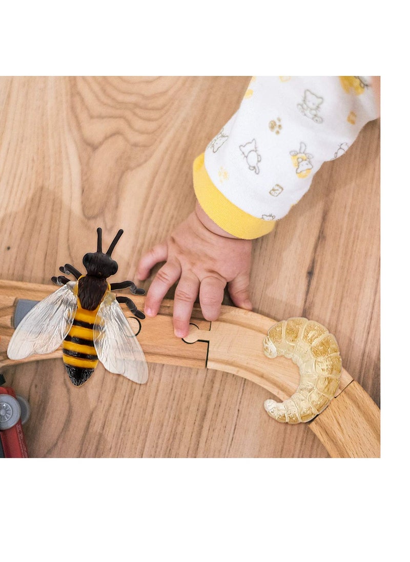 12PCS Insect Figurines Life Cycle of a erfly Dragonfly Bee, Safariology Growth Cycle Model Bug, Figures Educational Toy for Kids Toddlers - Image 4