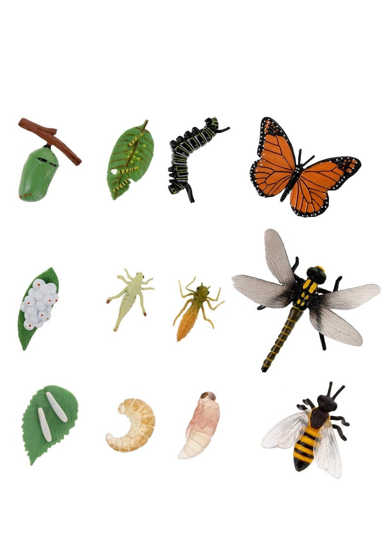 12PCS Insect Figurines Life Cycle of a erfly Dragonfly Bee, Safariology Growth Cycle Model Bug, Figures Educational Toy for Kids Toddlers - Image 1