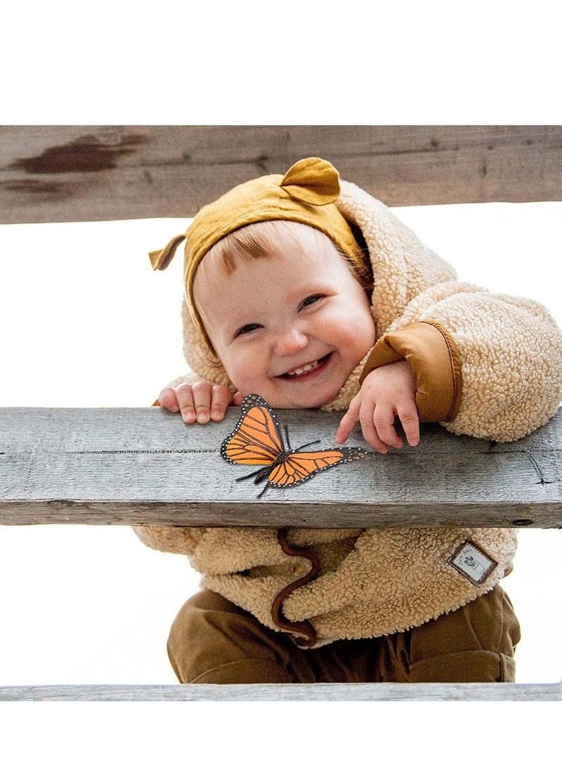 12PCS Insect Figurines Life Cycle of a erfly Dragonfly Bee, Safariology Growth Cycle Model Bug, Figures Educational Toy for Kids Toddlers - Image 5