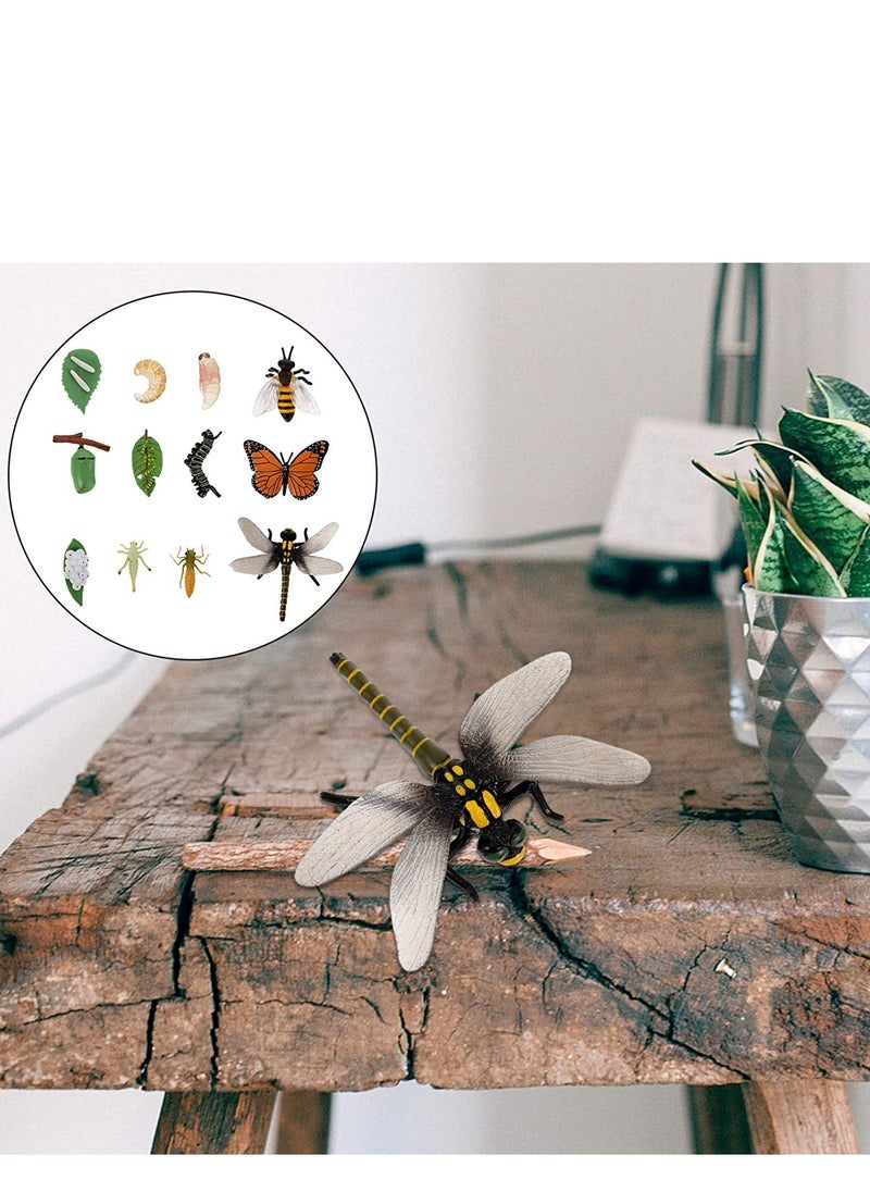 12PCS Insect Figurines Life Cycle of a erfly Dragonfly Bee, Safariology Growth Cycle Model Bug, Figures Educational Toy for Kids Toddlers - Image 3