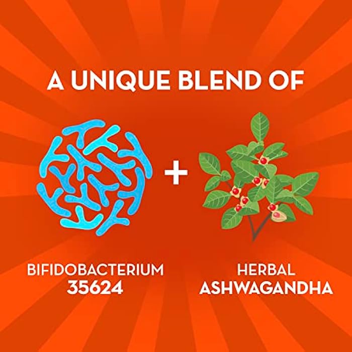 Align Probiotic, Gut Health + Stress Support, with Probiotics for Digestive Health and Ashwagandha to Help Calm Mind and Body*, #1 Doctor Recommended Brand‡, 21 Capsules (Pack of 2) - Image 3