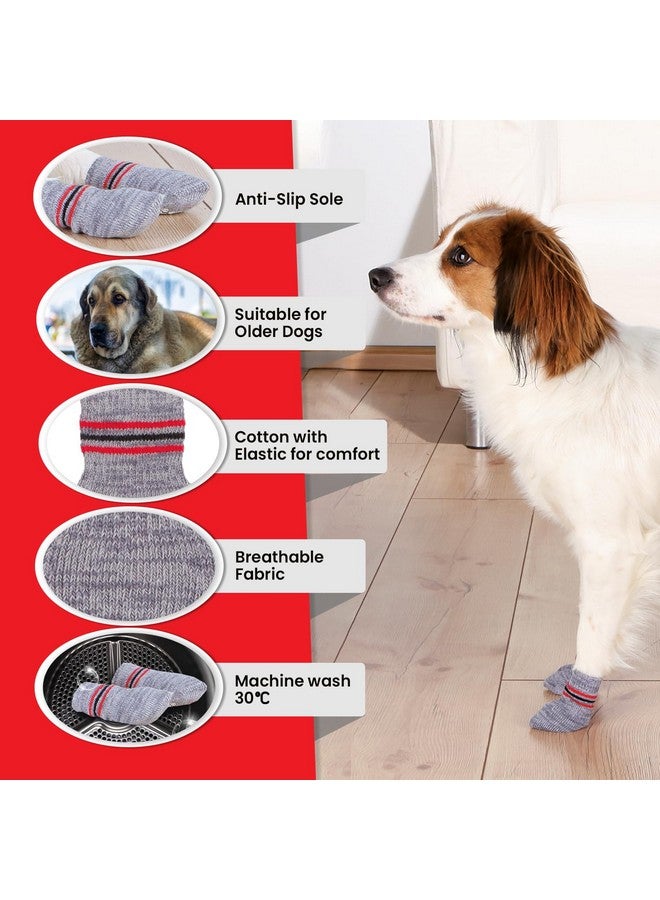 تريكسي جوارب مضادة للانزلاق للكلاب الصغيرة (تشيهواهوا، بودل لعبة، جراء) | تحمي من الجروح الصغيرة والأرضيات الباردة والأثاث المترب - قطعتان، مقاس XS-S، رمادي (عبوة من 3 قطع) - Image 4