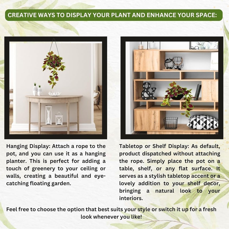 fancymart Elegant Artificial Plant Falling Leaves with Pot for Home & Office Decor – Versatile Potted Plant for Tabletop, Shelves, or Hanging Display - Image 4