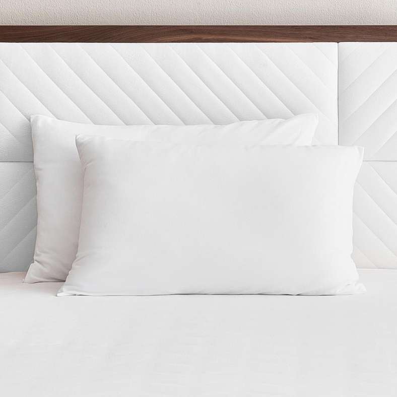 Premium Turkish Cotton Jersey 2-piece Pillowcase Set 50x75cm - White - 121AAI9900060