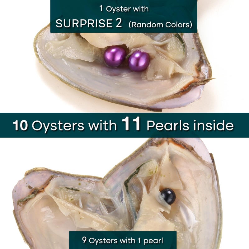 HENGSHENG 10 PCS Freshwater Pearl Oysters with 6-8 mm Nearly Round Pearl Inside Random Color (9 pcs Single Pearl Oysters& 1 pc Twins Pearls Oyster) - Image 2