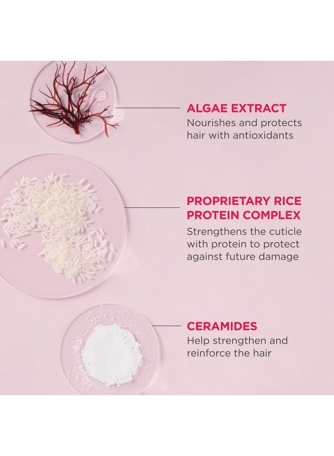 بريوجيو لا تيأس، أصلح شعرك! شامبو الأرز الغني المركّز، شامبو البروتين للشعر التالف بشدة، شامبو مركّز منشط بالماء، نباتي، خالٍ من القسوة، 3 أونصات سائلة - Image 4