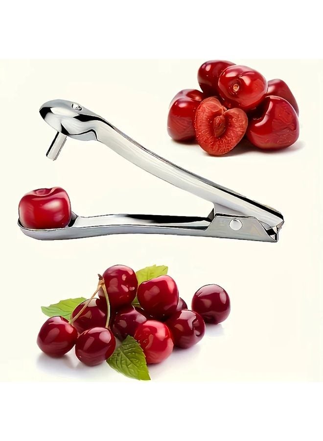 Heavy Duty Stainless Steel Fruit Vegetable Pit Remover 1pc Kitchen Tool - Image 1