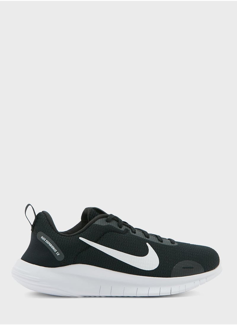 Nike - Flex Experience Rn 12 - Image 1