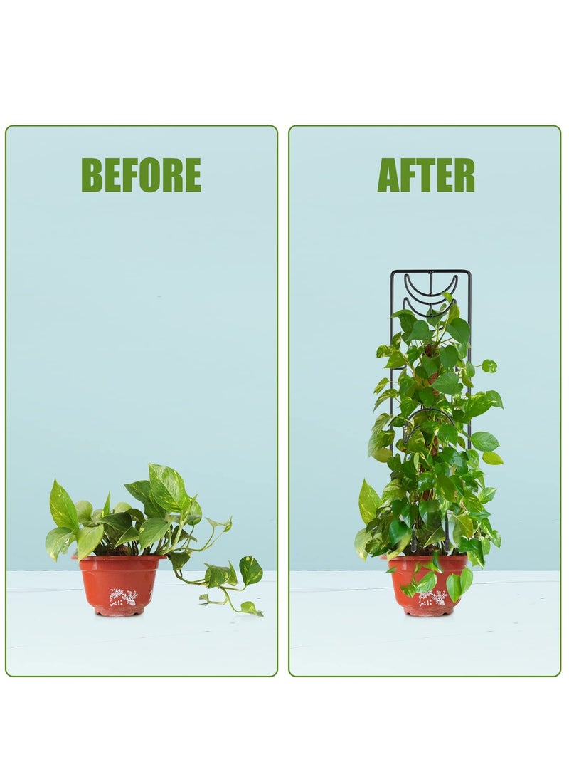 Generic 2 قطع تعريشة نبات، تعريشة حديقة معدنية لدعم النباتات الداخلية للأص pots، دعائم معدنية لكروم الورد، النباتات المتسلقة، الزهور، ديكور الفناء الخارجي 36x10 سم  - Image 5