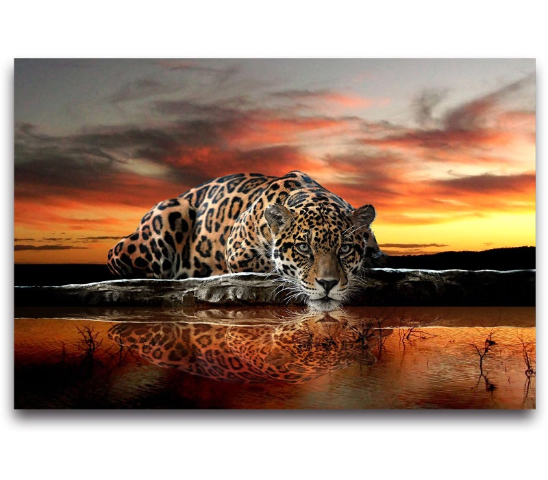 Cliouar Clouar - Animal Leopard 3D Wallpaper Mural 158" x 110"(Not Self-Adhesive) - Image 4
