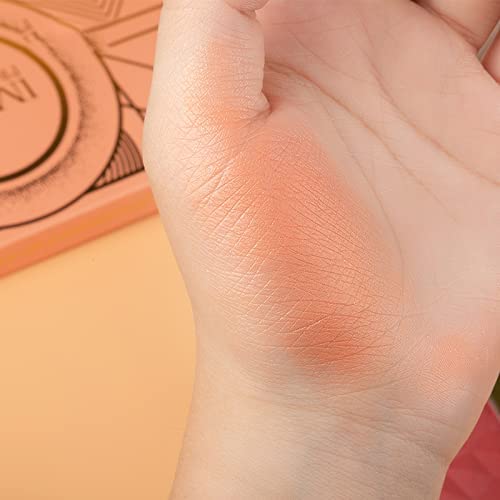 SKINPLUS 6 Color Highlight  Blush  Contour Palette FA126 24g - Image 3