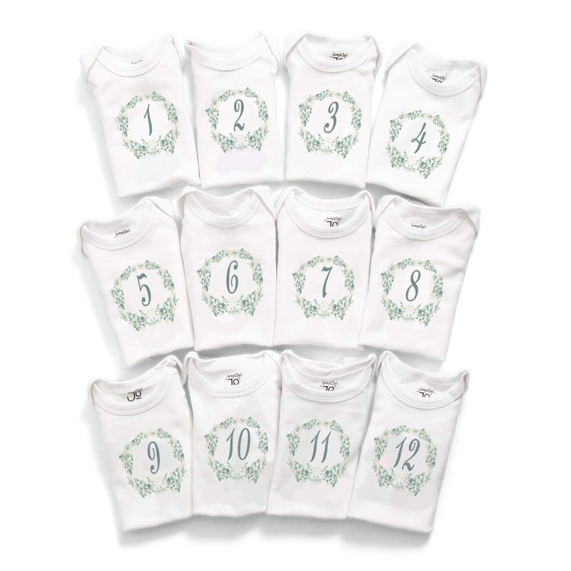 JumpOff Jo JumpOff Jo Seize The Moment Baby Milestone Onesies 1 Through 12 Bodysuit Set With Numbers Newborn Essentials Botanical 