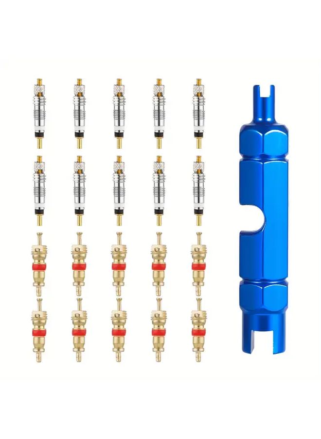 Bicycle Valve Core Kit 20pcs Presta Schrader Tubeless Tire Replacement Tool - Image 1