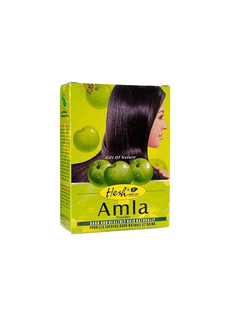 Hesh - Hesh Amla Powder, 3.5 Oz - Image 1