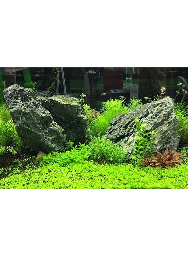 Seachem Flourish Excel - 2L - Image 3