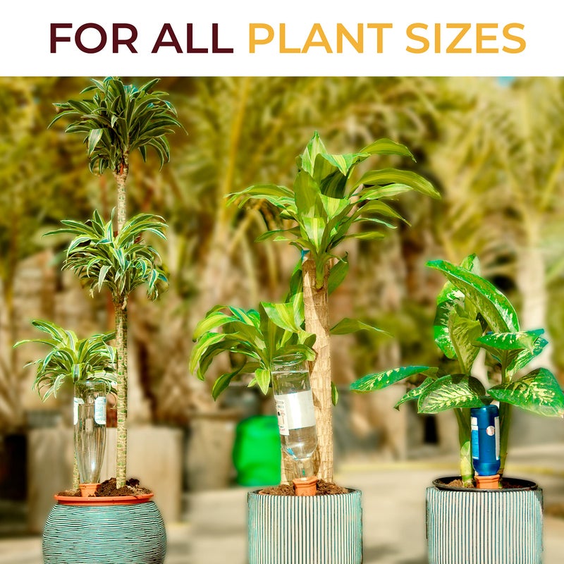 Reifier 10-Pack Natural Self Watering Spikes - Terracotta - Automatic Plant Waterer for Indoor & Outdoor - Image 3