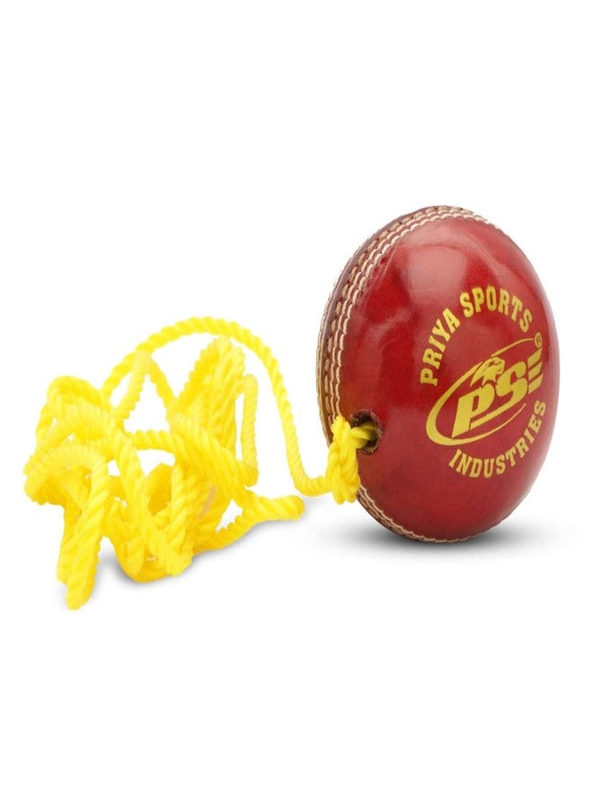PSE Leather Priya Sports Red Practice Hanging Cricket Ball for Bat Knocking - Image 1