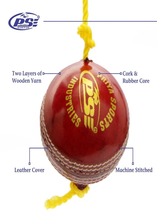 PSE Leather Priya Sports Red Practice Hanging Cricket Ball for Bat Knocking - Image 3